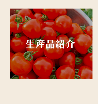 link_btn01
